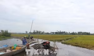 Đồng bằng sông Cửu Long sẽ đón lũ đầu mùa từ ngày 13/8