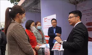 Tăng cơ hội tìm kiếm việc làm cho người lao động ở Cao Bằng