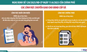 Từ 1/7/2025: Chuyển giao lĩnh vực con nuôi và chứng thực cho UBND cấp xã