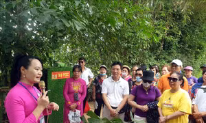 Nhiều hoạt động ý nghĩa kỷ niệm 132 năm Ngày sinh Chủ tịch Hồ Chí Minh