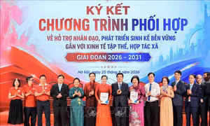 Thí điểm mô hình sinh kế nhân đạo gắn với kinh tế tập thể, hợp tác xã