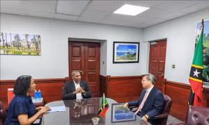 Thúc đẩy các cơ chế hợp tác thiết thực giữa Việt Nam và Saint Kitts và Nevis