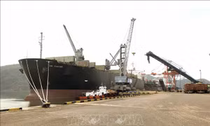 Vinalines 'mở đường' logistics sang châu Âu