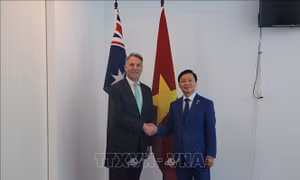 Tăng cường hợp tác thực chất giữa Việt Nam - New Zealand, Việt Nam - Australia