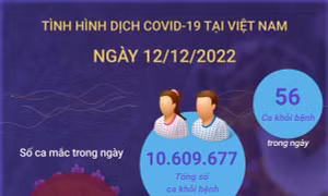 Ngày 12/12: Cả nước ghi nhận 383 ca COVID-19 mới, 56 F0 khỏi bệnh