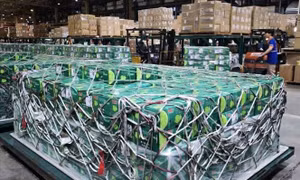 Duy trì mạch xuất khẩu nông sản Việt sang Trung Đông bằng vận tải hàng không