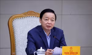 Thí điểm hạn ngạch phát thải để hoàn thiện, đồng bộ cơ chế quản lý