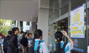 Phổ điểm thi đánh giá năng lực có phổ điểm dạng gần phân bố chuẩn