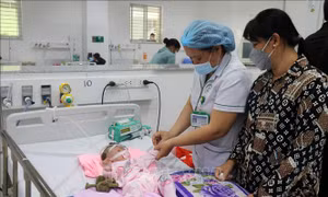 Cả nước ghi nhận trên 211.300 ca sốt xuất huyết, 87 trường hợp tử vong