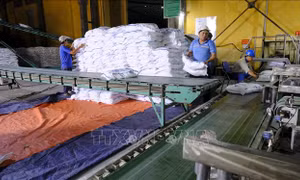 Gia hạn rà soát trong chống lẩn tránh phòng vệ thương mại đường mía
