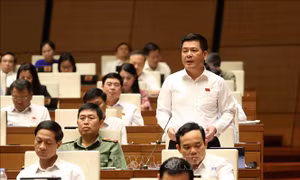 Tổ chức sản xuất nông nghiệp theo tín hiệu thị trường