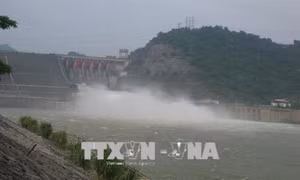 Nợ tiền dịch vụ môi trường rừng, Kon Tum 'cầu cứu' Bộ Công Thương