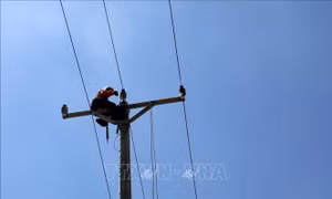 Điện lực miền Bắc khôi phục 97% điện sau bão số 10, sẵn sàng ứng phó bão số 11
