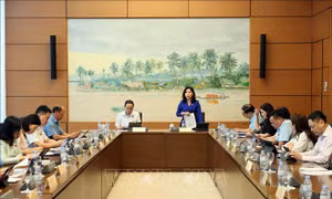 Phân định phạm vi thanh tra và kiểm tra chuyên ngành để rõ trách nhiệm