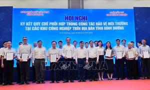 Các khu công nghiệp đồng lòng 'xanh hóa' thủ phủ công nghiệp