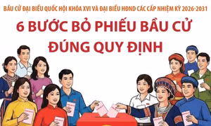 Bầu cử Quốc hội và HĐND: 6 bước bỏ phiếu bầu cử đúng quy định