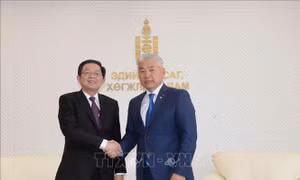 Phó Thủ tướng Hồ Quốc Dũng làm việc với Phó Thủ tướng Thường trực, Bộ trưởng Kinh tế và Phát triển Mông Cổ