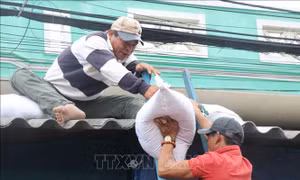 Bão số 6 không gây nhiều thiệt hại tại Phú Yên