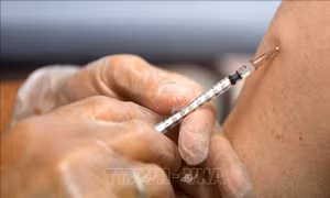 Khan hiếm vaccine - trở ngại chính đối với chiến lược ngăn chặn virus đậu mùa khỉ