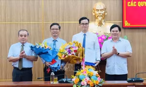 Quảng Ngãi điều động, bổ nhiệm nhiều cán bộ chủ chốt