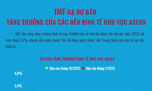 IMF hạ dự báo tăng trưởng của các nền kinh tế khu vực ASEAN