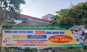 Sôi động thị trường lao động sau Tết