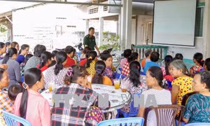 Nhiều phương thức, thủ đoạn mới của tội phạm mua bán người