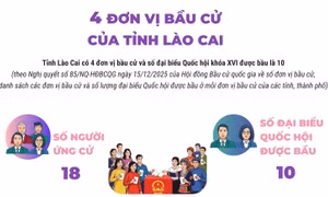 4 đơn vị bầu cử của tỉnh Lào Cai