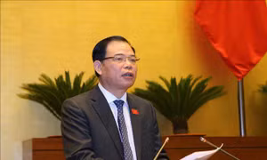 Chuyển mục đích sử dụng rừng phải đảm bảo phát triển KT-XH, phát triển môi trường bền vững 