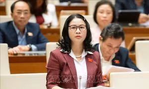 Tạo khuôn khổ pháp lý vượt trội giúp TP Hồ Chí Minh và Đà Nẵng phát triển bứt phá