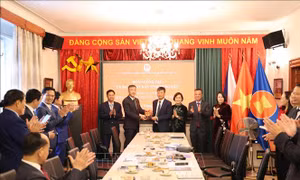 Hưng Yên tăng cường kết nối với doanh nghiệp, nhà đầu tư tại châu Âu