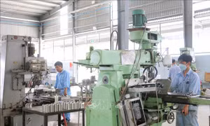 Vượt sóng, đón vận hội mới