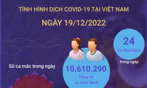 Ngày 19/12: Cả nước ghi nhận 234 ca COVID-19 mới, 24 F0 khỏi bệnh