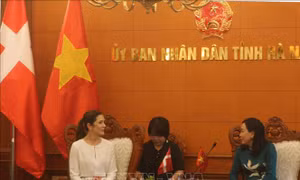 Thúc đẩy hợp tác về sản xuất sản phẩm xanh giữa doanh nghiệp Đan Mạch và tỉnh Hà Nam