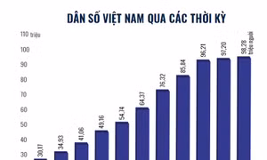 Quy mô và cơ cấu dân số Việt Nam