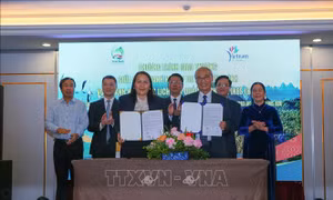 Thúc đẩy hợp tác phát triển du lịch Việt Nam với các đối tác quốc tế