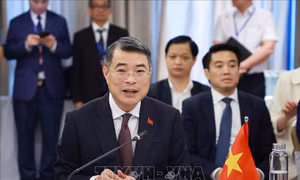 Thủ tướng Lê Minh Hưng: Hợp tác địa phương là nét đặc sắc của quan hệ Việt Nam - Nhật Bản