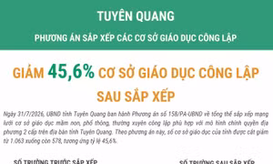 Tuyên Quang giảm 45,6% số cơ sở giáo dục công lập sau sắp xếp