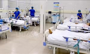 Trung tâm Đột quỵ Bệnh viện Trung ương Huế đạt giải thưởng cao của Hội Đột quỵ thế giới