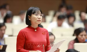 Cá nhân không trực tiếp sản xuất nông nghiệp có thể nhận chuyển nhượng đất trồng lúa