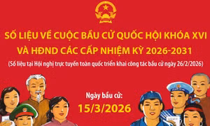 218 khu vực bỏ phiếu trên cả nước sẽ tiến hành bỏ phiếu sớm
