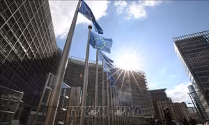 EU phối hợp Meta, TikTok ngăn tái diễn khủng hoảng di cư tại Ceuta