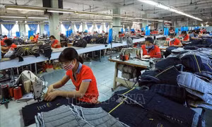 Ngân hàng UOB nâng dự báo GDP năm 2022 của Việt Nam lên 8,2%