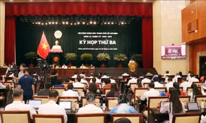 Miễn nhiệm 1 Phó Chủ tịch, 2 Ủy viên UBND Thành phố Hồ Chí Minh