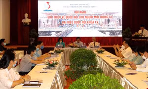 Bồi dưỡng, nâng cao kỹ năng cho đại biểu Quốc hội mới trúng cử
