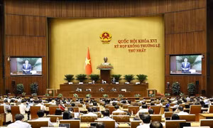 Thể chế hóa kịp thời, tạo bước chuyển thực chất