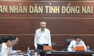Thứ trưởng Phùng Đức Tiến: Đặc biệt chú ý tới an toàn sinh học trong tái đàn lợn