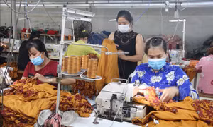 Nhiều doanh nghiệp Trà Vinh trở lại sản xuất bình thường mới