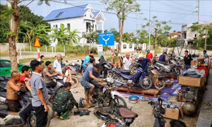 Nhiều hoạt động thiết thực hướng về đồng bào bị ảnh hưởng của bão, lũ