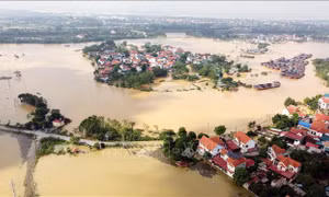 Sự kiện nổi bật tuần từ 29/9 - 4/10